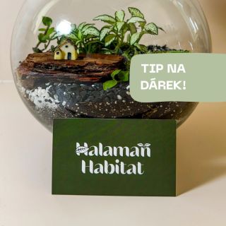 Vánoce jsou o klidu, světýlkách a malých radostech ✨🎄. A právě proto jsou terária od @halamanhabitat tak krásným dárkem....