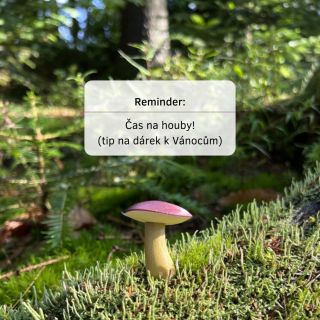 Malý kousek lesa, který si můžeš připnout na kabát. 🍄 Brože od @3lobitprint spojují kouzlo přírody s moderním 3D tiskem a...